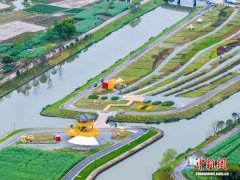 主客共享“田”日子 浙江瑞安乡村田地诠释“百姓园博”